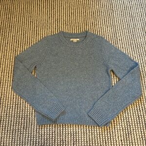 Small American Eagle Blue Sweater